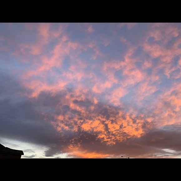 Meet your Posher, Kierra - Picture 1 of 1